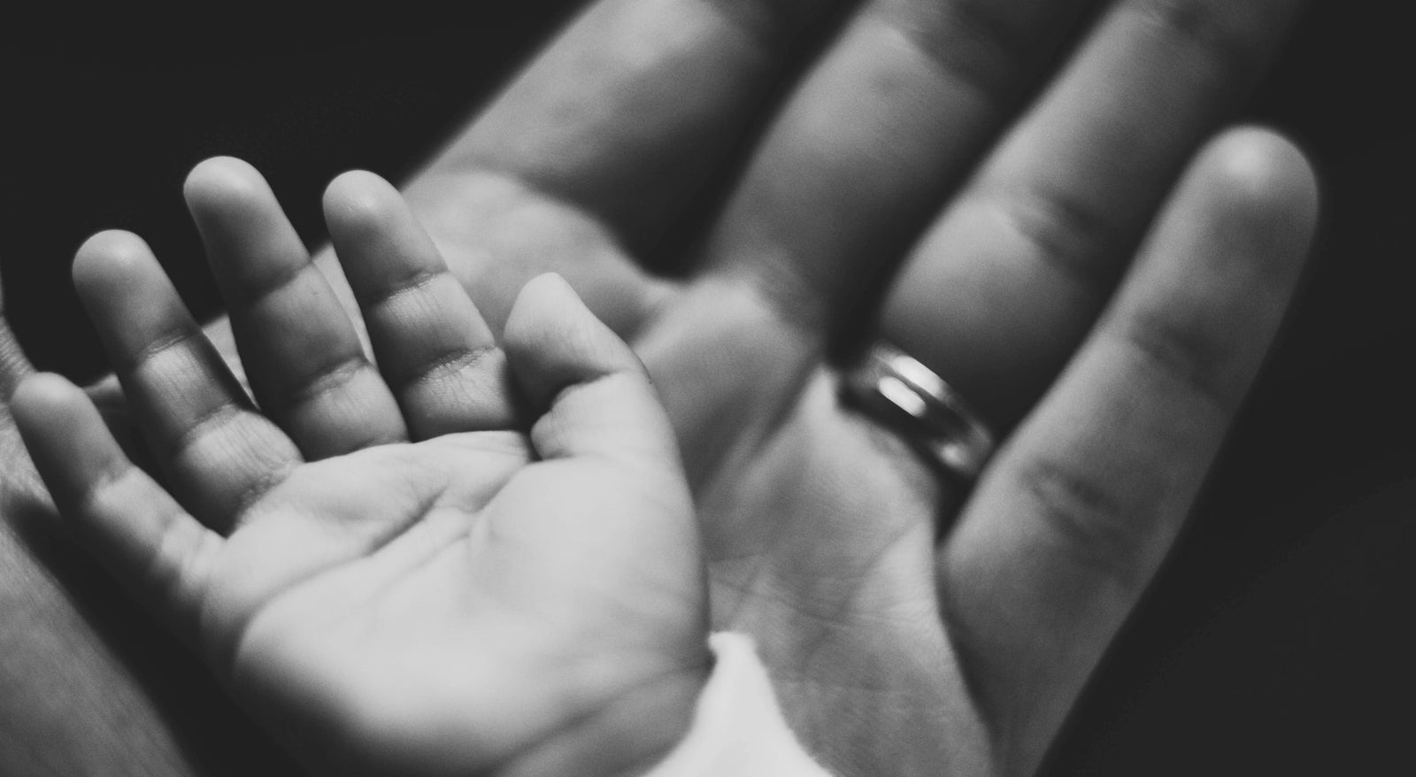 A trip down scent memory lane ...