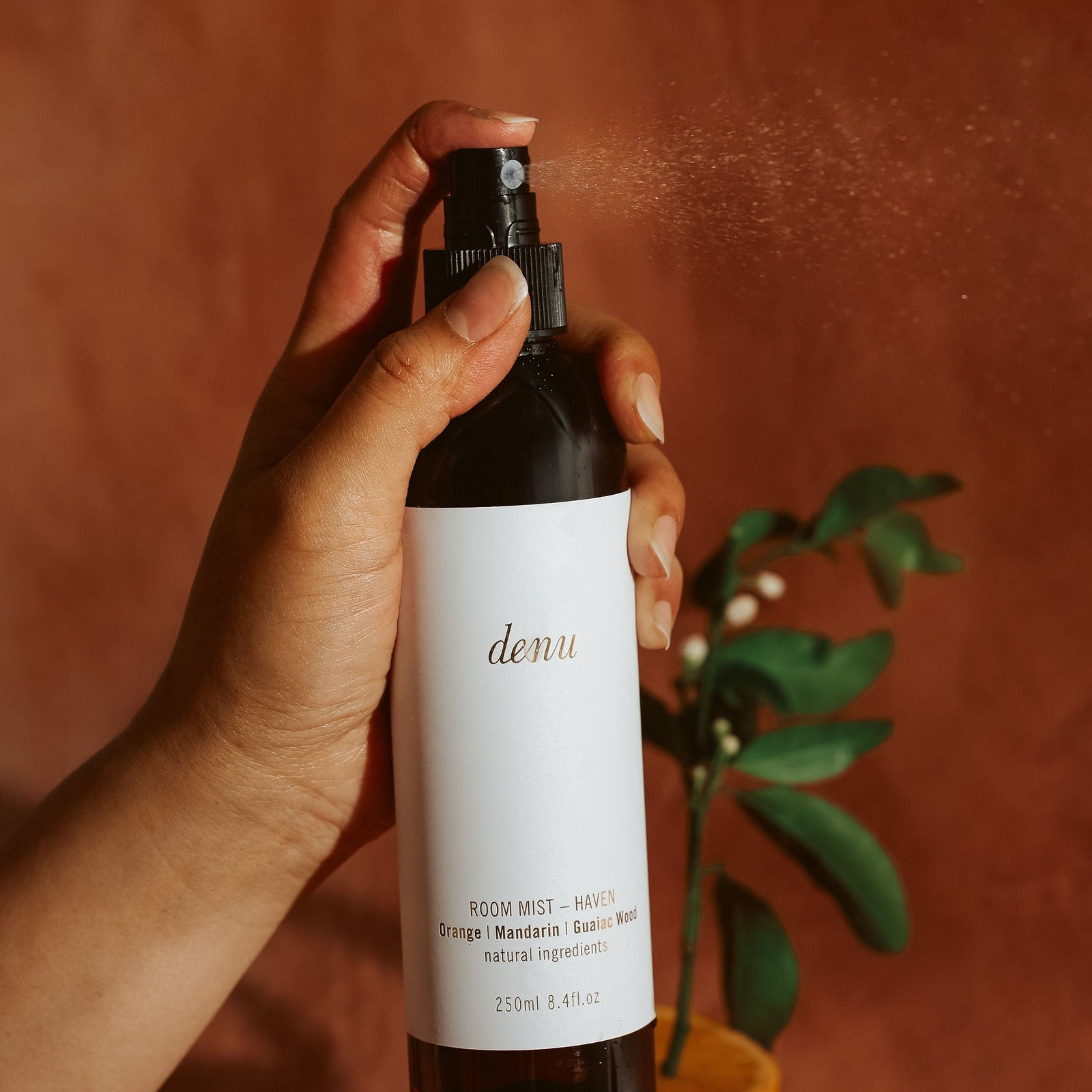 Hand holding a 'denu' Haven room mist bottle with an orange and plant in the background